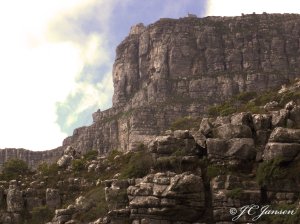 Back of Table Mountain